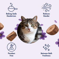 Arm & Hammer Cat Odor Control Spray, Violet Cedarwood - image 4