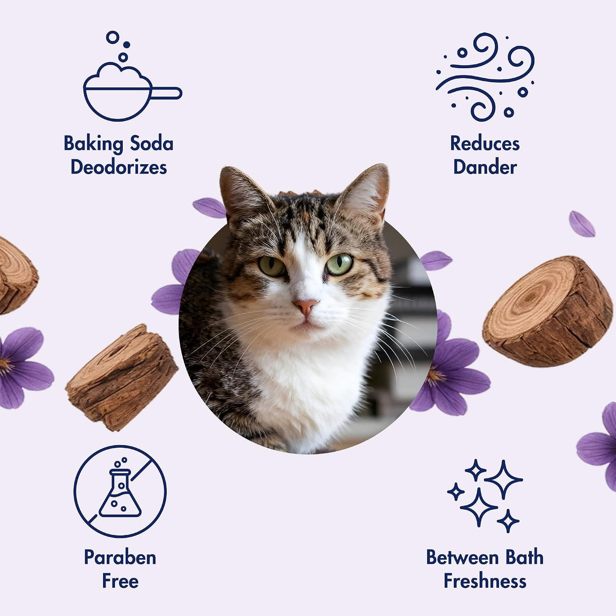 Arm & Hammer Cat Odor Control Spray, Violet Cedarwood - image 4