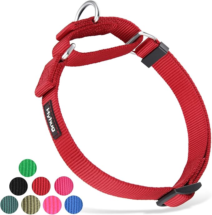 Hyhug Pets Premium Upgraded Heavy Duty Nylon Anti-Escape Martingale Collar for Boy and Girl Dogs Comfy and Safe - Professional Training, Daily Use Walking. (Small, Red)