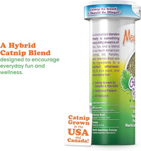 Meowijuana Lady Bug Bundle | Get Sprung Refillable Lady Bug Toy and Garden Pawty Catnip Blend | Promotes Play and Cat Health | Includes North American Organic Catnip