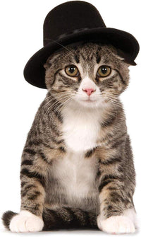 Rubies Top Hat Pet Hat for Dogs or Cats, M/L – Essentials for Dogs - Small-Medium - image 2