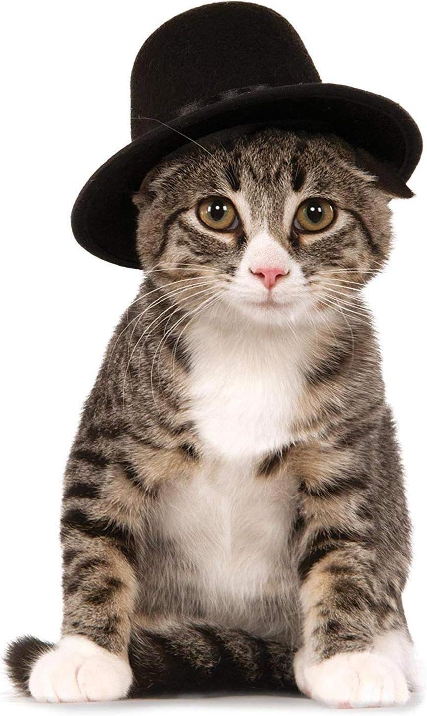 Rubies Top Hat Pet Hat for Dogs or Cats, M/L – Essentials for Dogs - Small-Medium - image 2