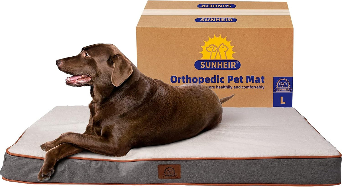 Washable Orthopedic Large Dog Bed with Removable Cover - Light Grey / 35.0"L x 22.0"W x 3.0"Th - image 2