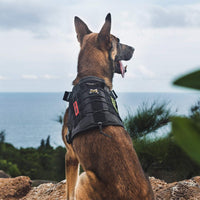 OneTigris Tactical Dog Harness No-Pull Service Vest for Medium Large - Small / Black - image 4