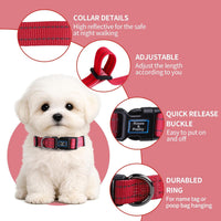 Roses&Poetry Reflective Dog Collar with Gradient Mistyrose - S / RosePink - image 2