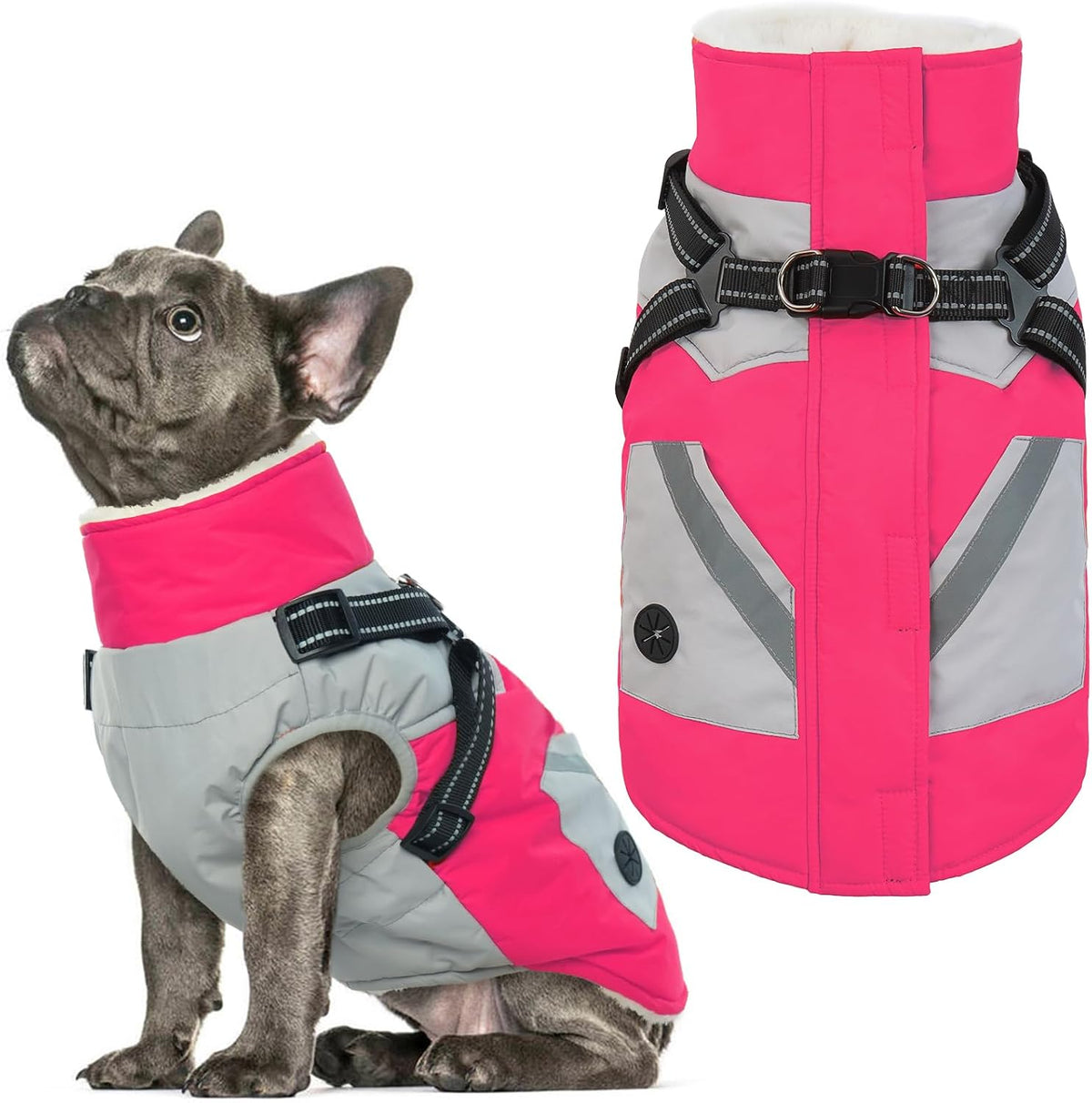 Dog Winter Coat with Harness Built in - Medium(Chest:20.9 in) / Rosered