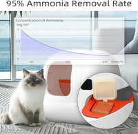 6 pack N50 Odor Eliminator 2.0 - 1.0-6 Pack - image 2