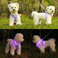 Light Up Dog Harness,Rechargeable LED Dog Harness for Small Medium Large Dogs,Reflective Lighted Safety Vest for Night Walking & Camping,Lightweight & Adjustable,Lavender Purple,XS