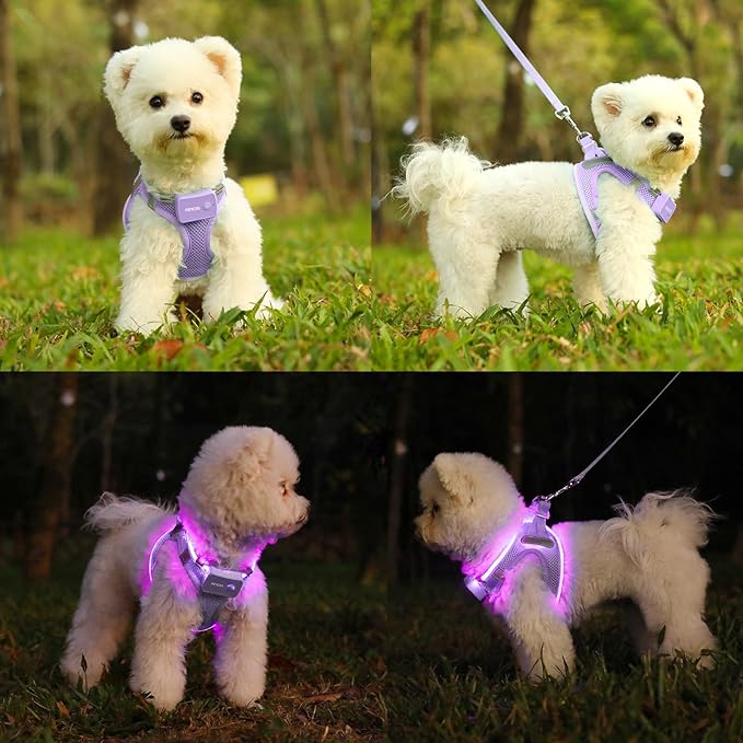 Light Up Dog Harness,Rechargeable LED Dog Harness for Small Medium Large Dogs,Reflective Lighted Safety Vest for Night Walking & Camping,Lightweight & Adjustable,Lavender Purple,XS
