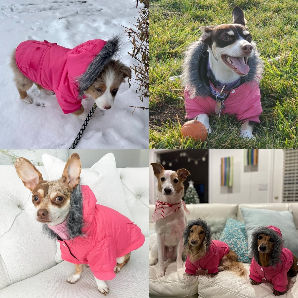 Dog Coat for Small Dogs, Windproof Doggie Puffer Jacket with Leash Hole, Extra Warm Dog Jacket - X-Large / Pink - image 3