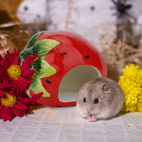 Hypeety Ceramic Hamster Hideout Decor Cool Bed Bath House - Red/Strawberry - image 4