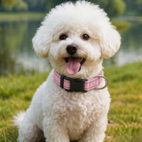 Dog Collar for Small Medium Dogs with Buckle - Light Pink / Small - image 2