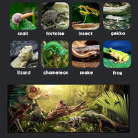 Micro Habitat Terrarium Enclosure Kit（4pc Set）,Jumping Spider Enclosure,Spider Enclosure,Tarantula Enclosure, Acrylic Reptile Enclosure(8 * 4.7 * 4.7 Inches)