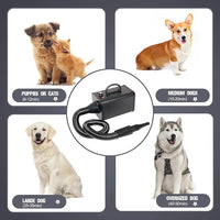 2400w 75m/s Dog Dryer for Pet Grooming, High Velocity Pet Hair Dryer with Heater, Adjustable Speed, 4 Nozzles and a Comb, Black