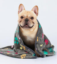 Luciphia 1 Pack 3 Blankets Fluffy Premium Fleece Pet Blanket Flannel - 30x20 inch (Pack of 3) / Grey Bone - image 3