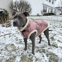 Retro Aviator Dog Jacket – Faux Leather Winter Coat with Plush Sherpa Fleece Lining for Bulldog - Pink / XXX-Large - image 3