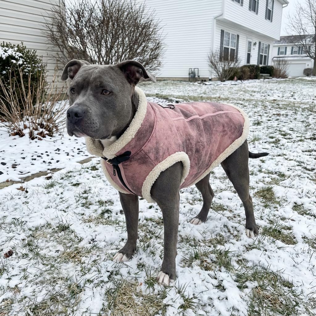 Retro Aviator Dog Jacket – Faux Leather Winter Coat with Plush Sherpa Fleece Lining for Bulldog - Pink / XXX-Large - image 3