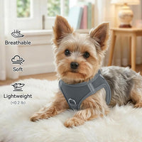Joytale Step-in Dog Harness, Soft Breathable Mesh, Black S – Essentials for Dogs - XL--Chest: 21.5-24'' / Gray - image 4