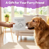 Collapsible Dog Bowl for Travel - Large / Grey+Purple - image 4
