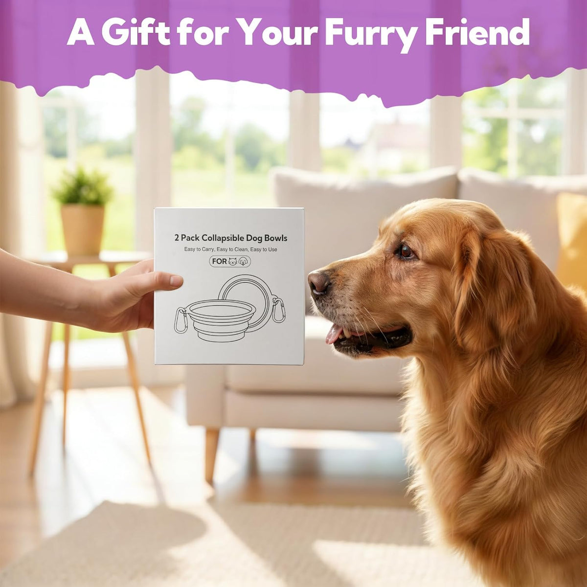 Collapsible Dog Bowl for Travel - Large / Grey+Purple - image 4
