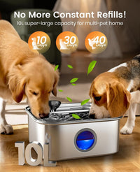 oneisall 10L/2.6Gal Dog Water Fountain for Large Dogs – Essentials for Dogs - 10L Dog Fountain+6 Sets Filters - image 2
