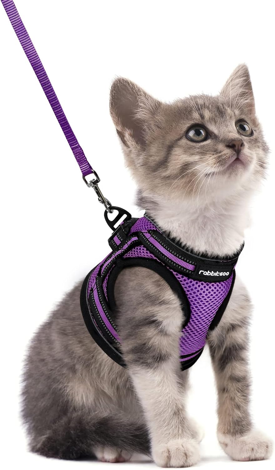rabbitgoo Cat Harness and Leash Set, Step-in Soft Vest - S / Purple