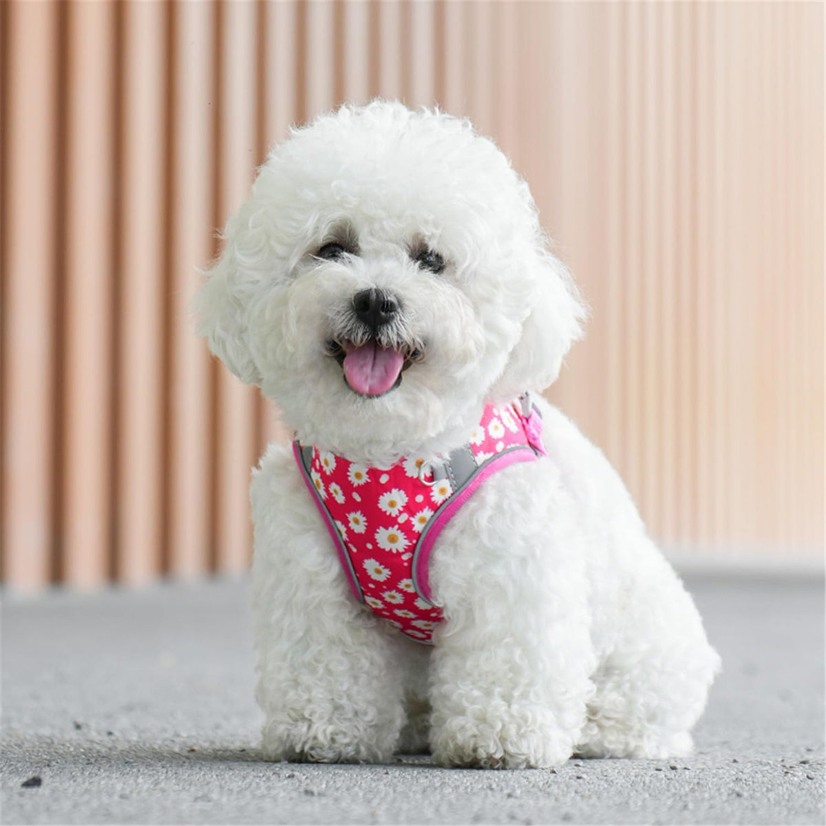 Step in Dog Harness No Pull Flower Adjustable Soft Mesh Harness – Essentials for Dogs - XXS(neck:8.5"-9.5",chest:10"-11.5") / Rose red - image 2