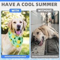KOOLTAIL Dog Cooling Bandana - Pineapple+Hawaii / Neck Girth(12-20in) - image 3