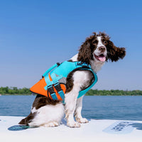 Kuoser Dog Life Jacket with Rescue Handle - X-large (Chest Girth:25.9-33.4'') / Blue - image 3
