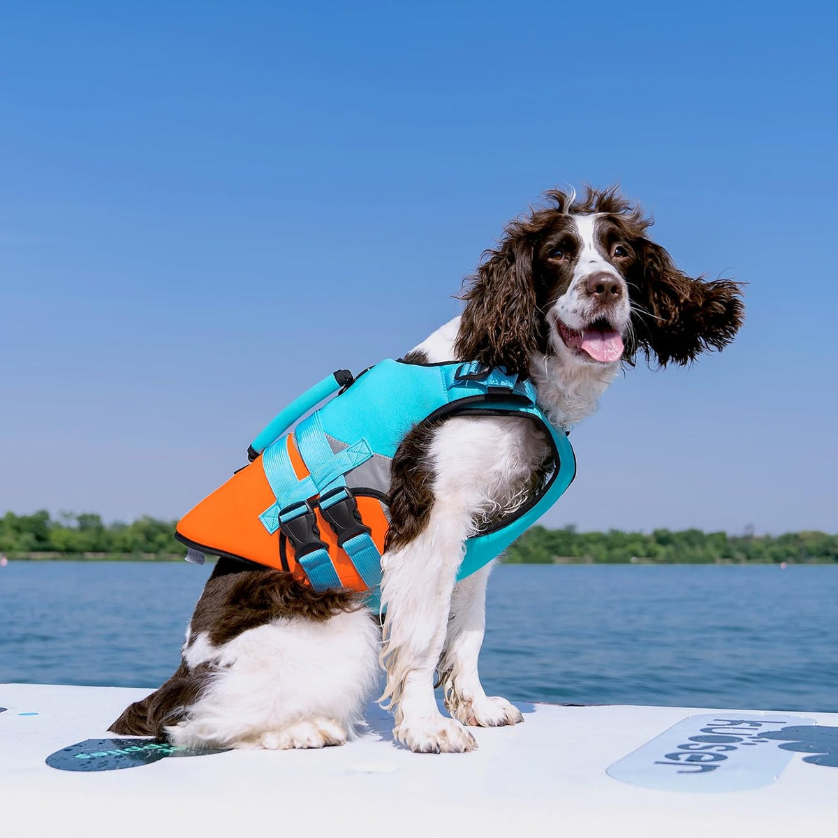 Kuoser Dog Life Jacket with Rescue Handle - X-large (Chest Girth:25.9-33.4'') / Blue - image 3