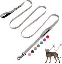Fida Heavy Duty Dog Leash for Medium Large Dogs - 10 Feet (Pack of 1) / Grey