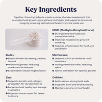 Summit Equine Hoof Strength Powder for Horses, Promotes Healthy Hooves with Biotin, Amino Acids, and Minerals, Horse Hoof Supplement,11 oz, 30-Day Supply
