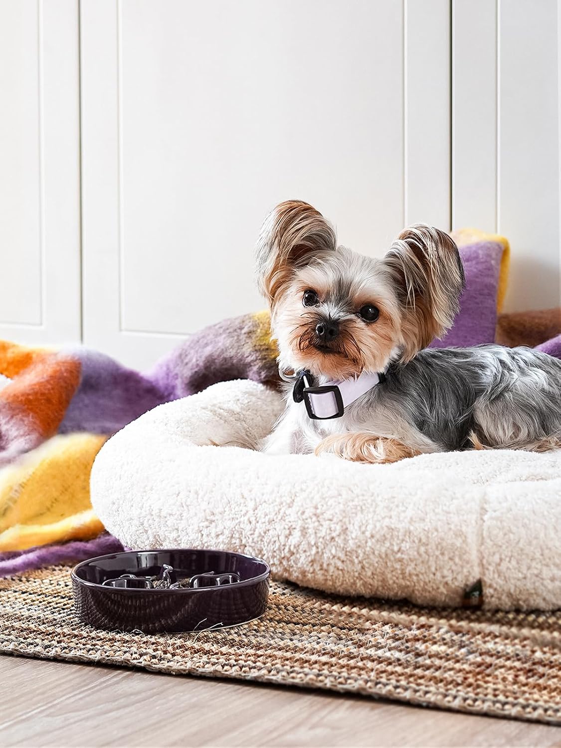 Ceramic Slow Feeder Dog Bowls Small Breed - Purple / S-0.5 Cups - image 2