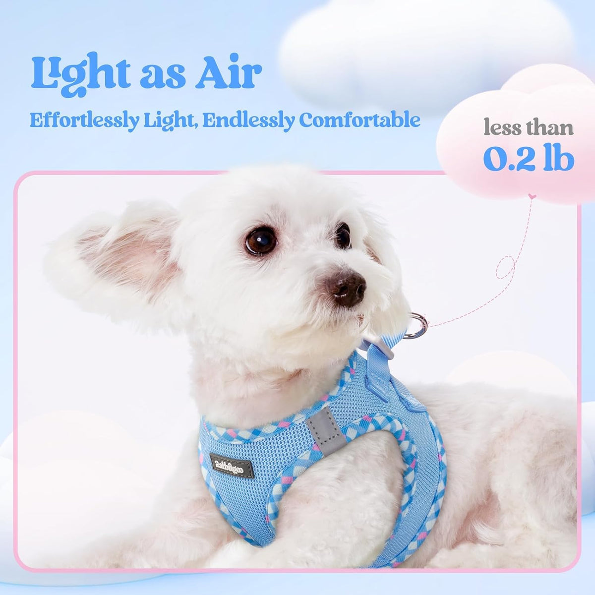 rabbitgoo Dog Harness Small Sized and Leash Set - Blue & Plaid Trim / Xxs (chest: 12.4 - 14.2") - image 4