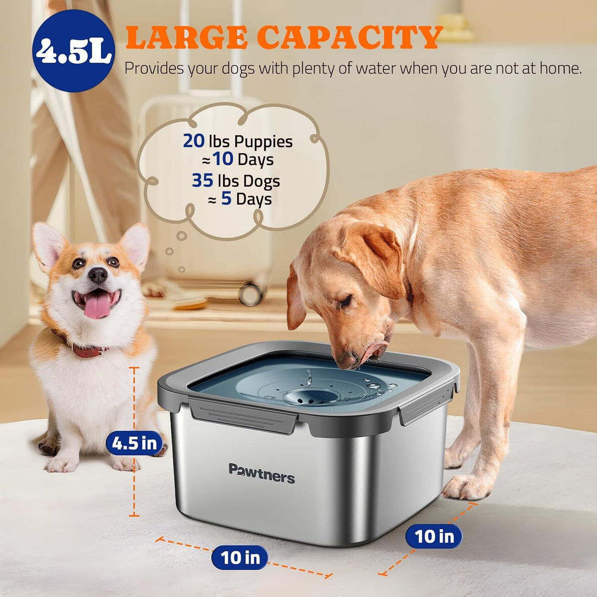All Stainless Steel Dog Water Bowl No Spill - Blue / 4.5L - image 2