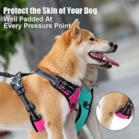 PoyPet No Pull Dog Harness, Reflective Comfortable Vest Harness with Front & Back 2 Leash Attachments and Easy Control Handle Adjustable Soft Padded Pet Vest for Small to Large Dogs (Mint Blue,L)