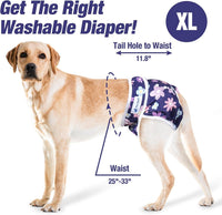 Pet Soft Washable Female Diapers Female Dog Diapers - Bloom / X-Large:25''-33'' - image 4
