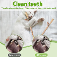 Silvervine Sticks for Cats 8 Pack Natural Cat Chew Toy Teeth Cleaning Edible Matatabi Dental Care Kitty Chew Sticks Catmint Cat Nip Treat Stick for Bored Indoor Kitty Calm Anxiety and Stress