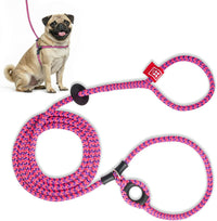 Harness Lead Escape Resistant, Reduces Pull Dog Harness - Pink/Purple / Small/Medium (14-40 lbs)