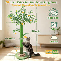 46" Tall Cat Scratching Post - Green(50" Tall) - image 3