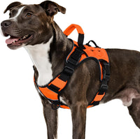 Tactical Dog Harness for Large Dogs - Orange / Medium: 30-50 lbs (Chest:24-28",Neck:17-19")