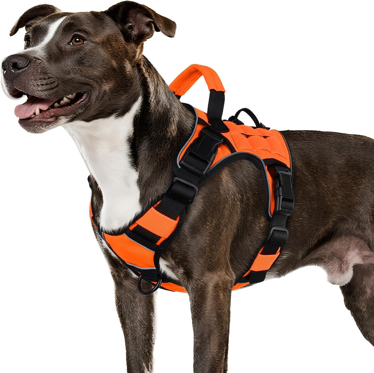 Tactical Dog Harness for Large Dogs - Orange / Medium: 30-50 lbs (Chest:24-28",Neck:17-19")