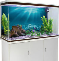 24x16 in Undersea Aquarium Backdrop Underwater World Fish Tank - 24x12in/60x30cm - image 3