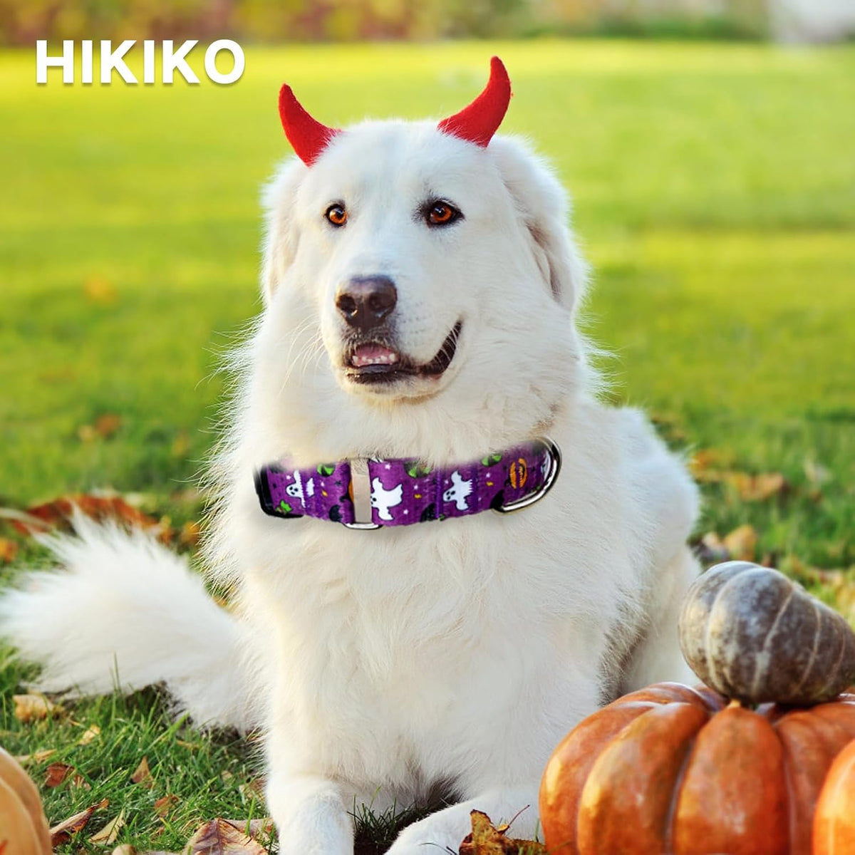 Martingale Dog Collar with Buckle - Purple Little Devil / Medium - image 3