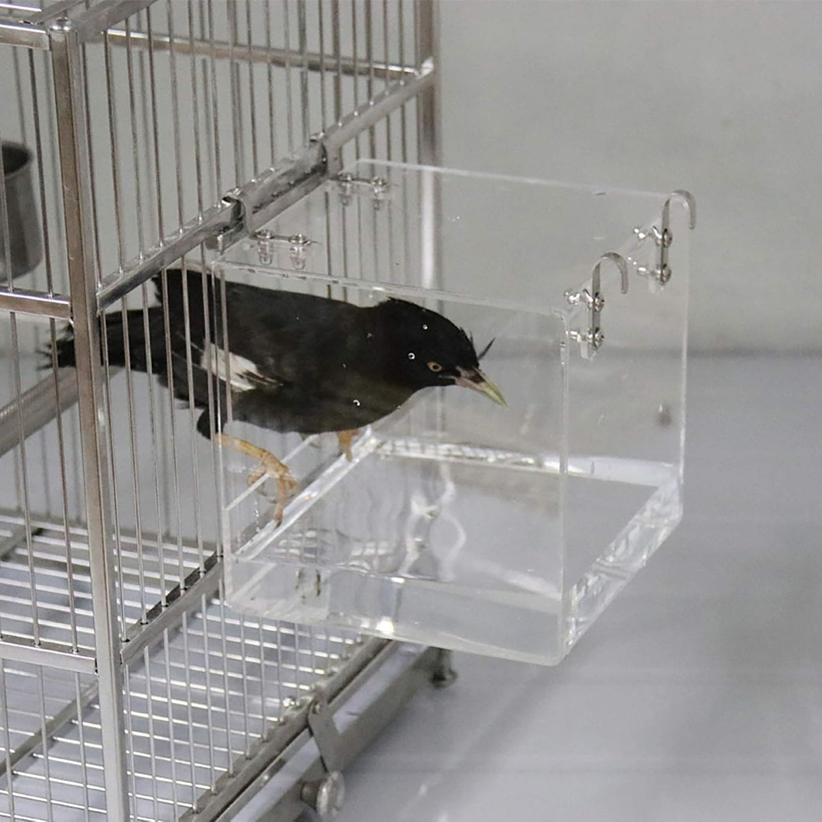 Hanging acrylic cube bird bath with metal hooks for square cages - view 4