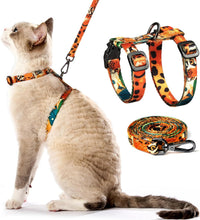 Adjustable Cat Harness and Leash Set Escape Proof – Essentials for Cats - Orange King of The Jungle, Adjustable