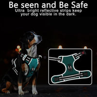 Timos Dog Harness, No-Pull Pet Harness with 2 Leash Clips, Adjustable Soft Padded Dog Vest, Reflective Outdoor Pet Oxford Vest with Easy Control Handle Turquoise