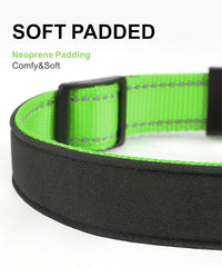 TagME Airtag Dog Collar,Waterproof Reflective Pet Collar with Airtag Holder,Soft Padded and Double D-Rings for Medium Dogs,Green