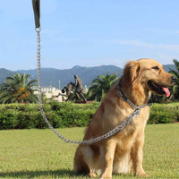 Chain Heavy Duty Metal Dog Leash - 6FTx3mm (30-120 lbs) - image 2