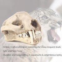Aquarium Décor Cave Decorations Fish Hideout Betta Tarantula Reptile Snake for Terrarium Ornament Dinosaur Animal Skull Large Bones Halloween